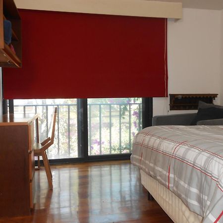 Terraza & Loft San Angel Apartment Mexico City Luaran gambar