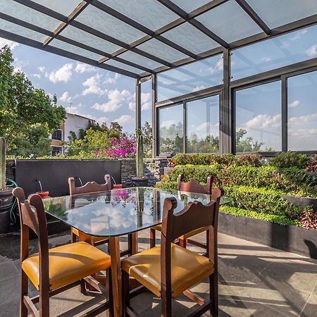 Terraza & Loft San Angel Apartment Mexico City Luaran gambar