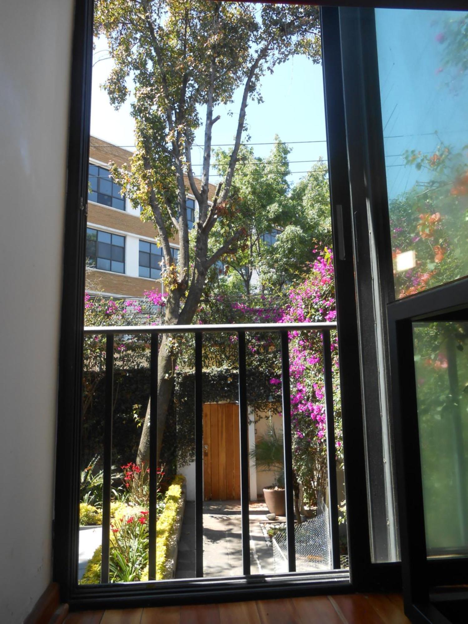 Terraza & Loft San Angel Apartment Mexico City Luaran gambar