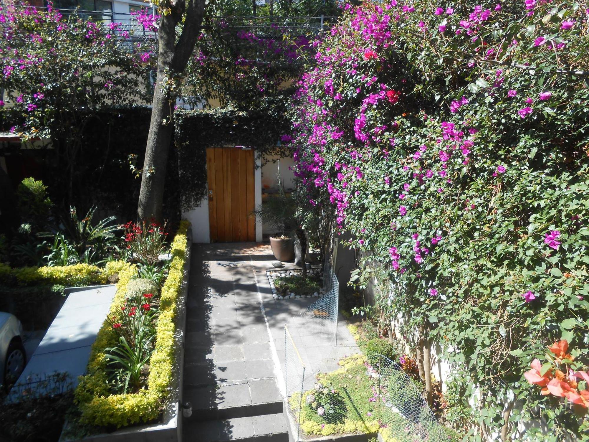 Terraza & Loft San Angel Apartment Mexico City Luaran gambar