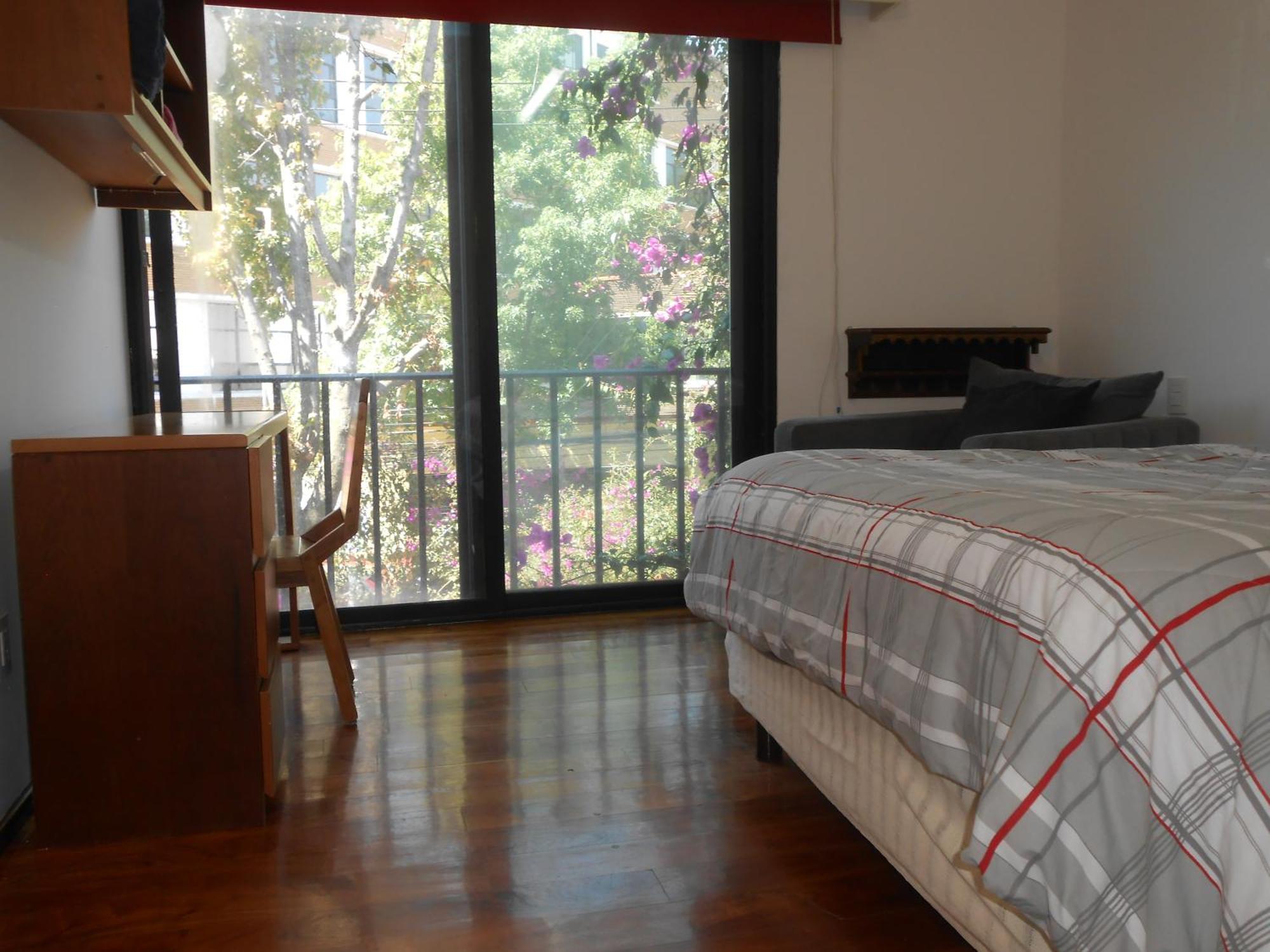 Terraza & Loft San Angel Apartment Mexico City Luaran gambar