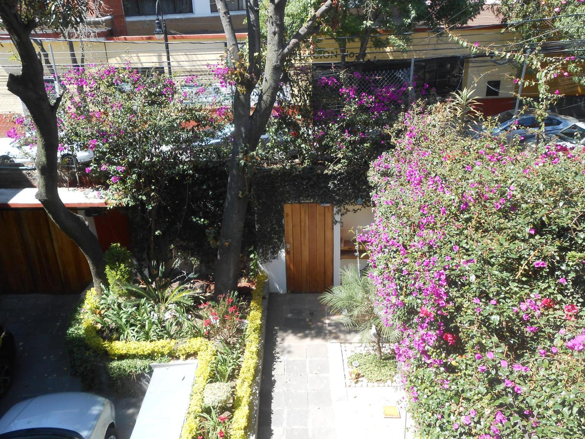 Terraza & Loft San Angel Apartment Mexico City Luaran gambar