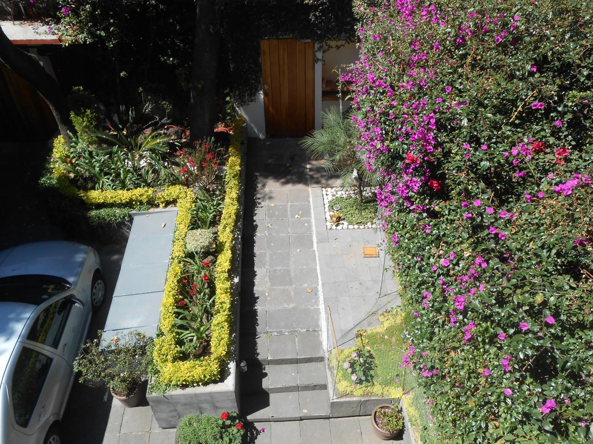 Terraza & Loft San Angel Apartment Mexico City Luaran gambar