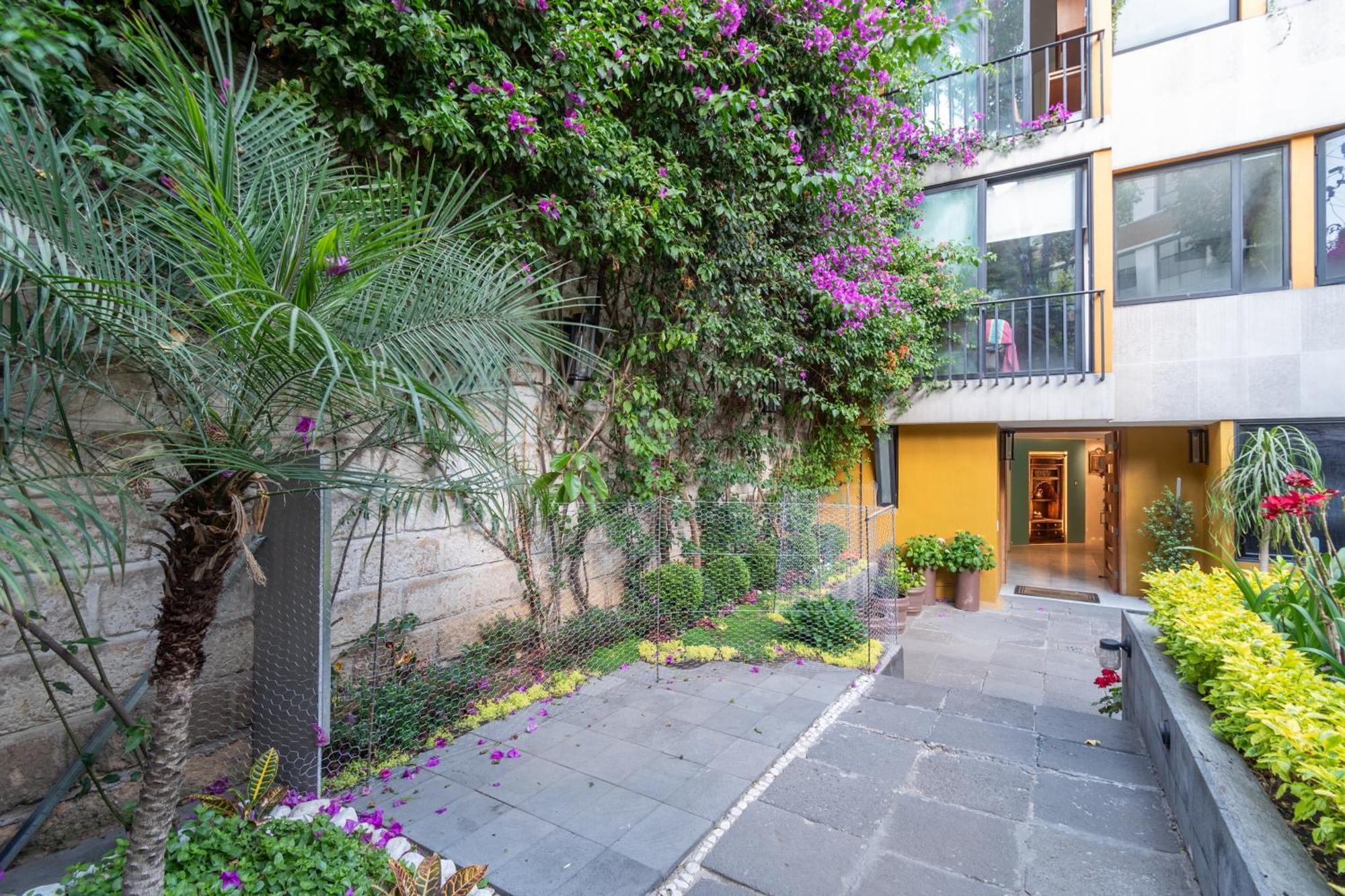 Terraza & Loft San Angel Apartment Mexico City Luaran gambar