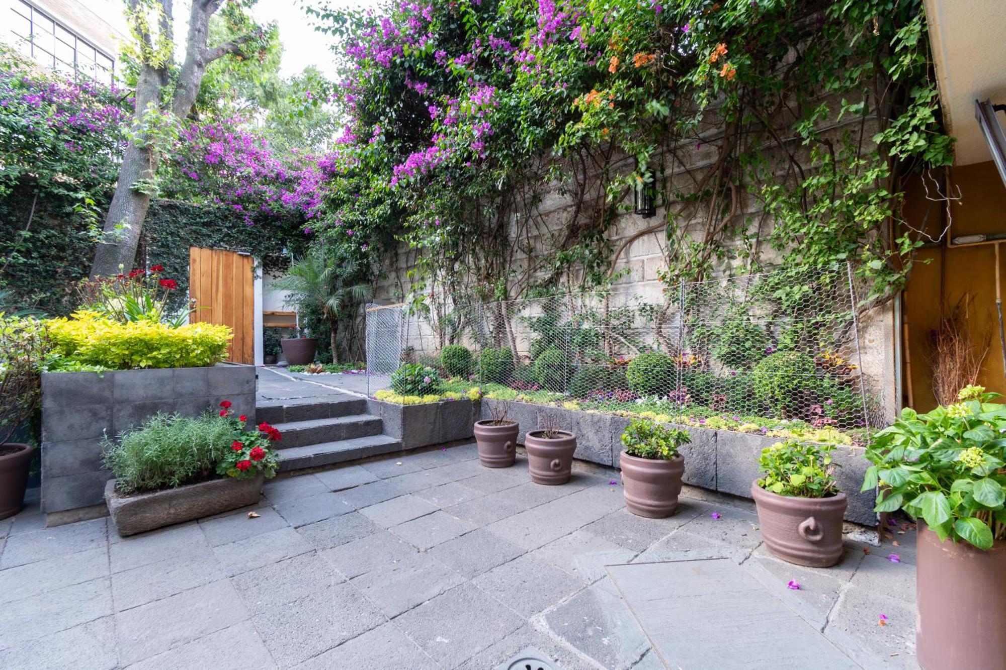 Terraza & Loft San Angel Apartment Mexico City Luaran gambar