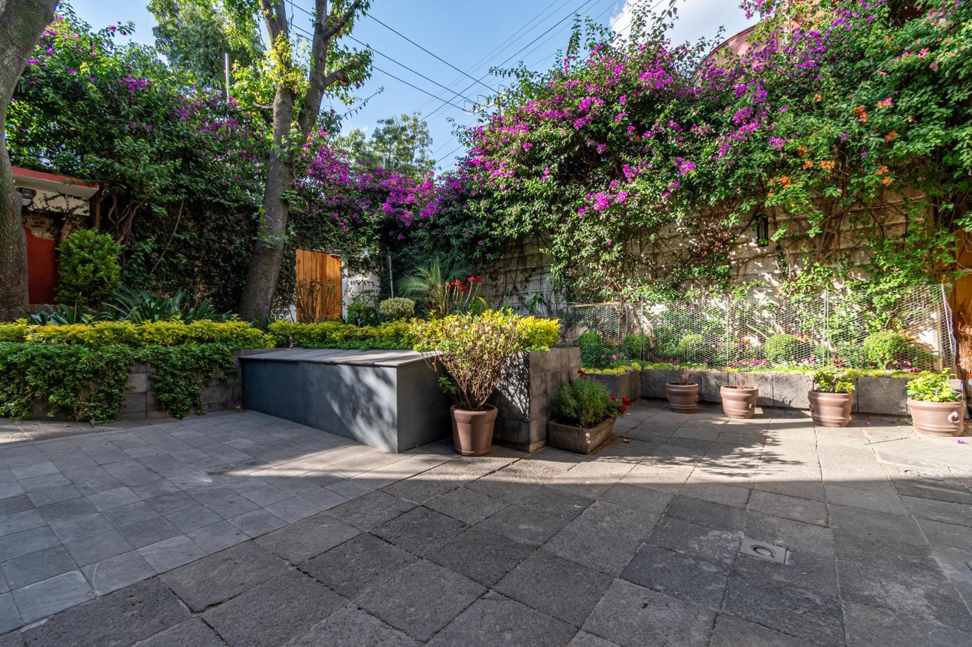 Terraza & Loft San Angel Apartment Mexico City Luaran gambar