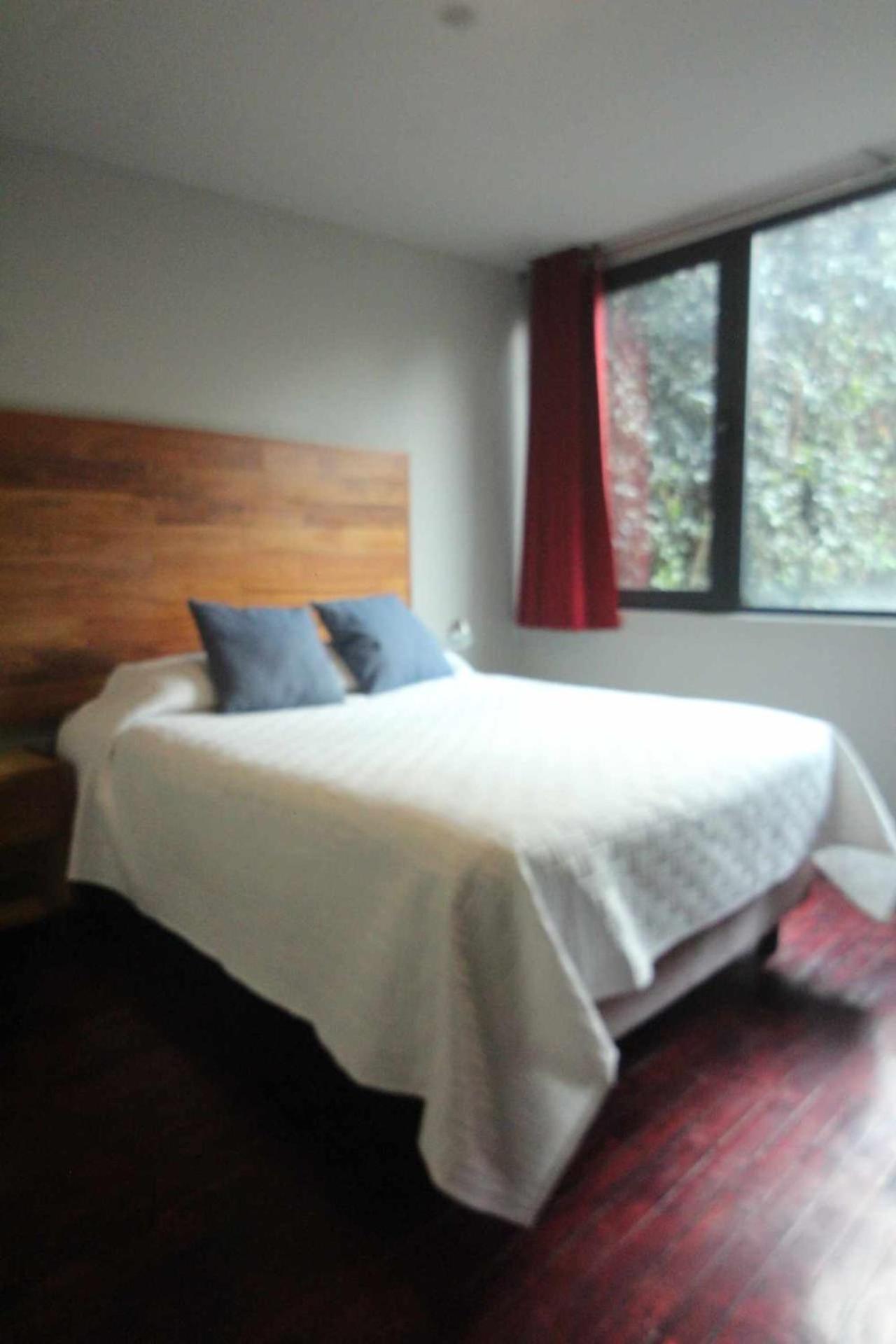 Terraza & Loft San Angel Apartment Mexico City Luaran gambar