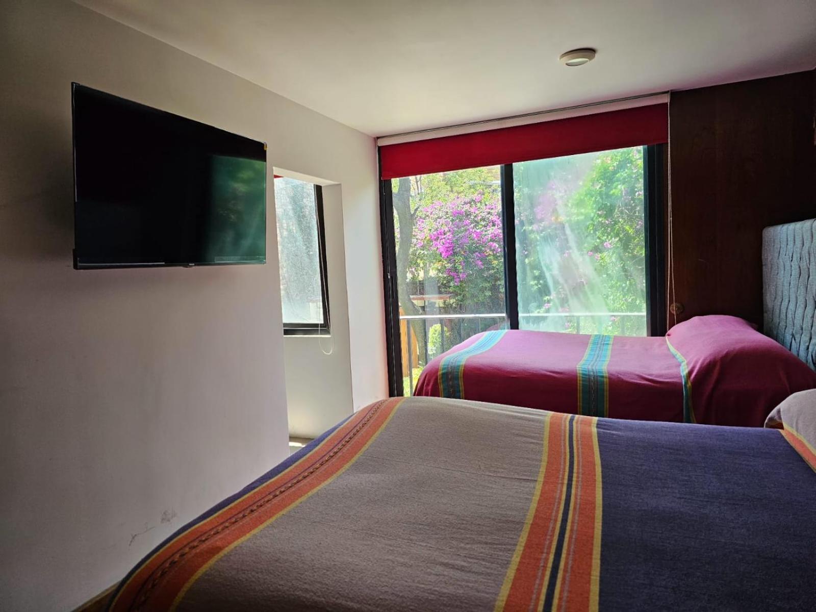 Terraza & Loft San Angel Apartment Mexico City Luaran gambar